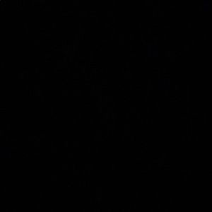 Meet your Posher, Dyren